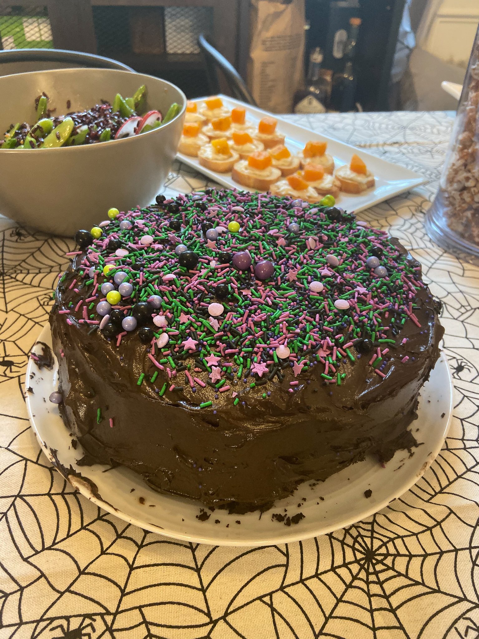 This is a chocolate two layer cake decorated with green, black, and purple sprinkles.