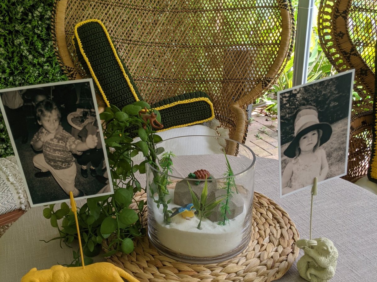 Terrariums and photo&nbsp;displays